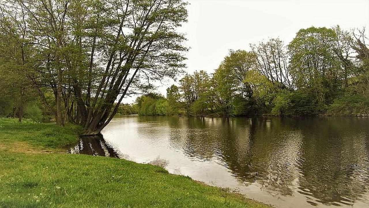 Joli Petit T4 Confortable Au Bord De Leau Vieille-Brioude Экстерьер фото